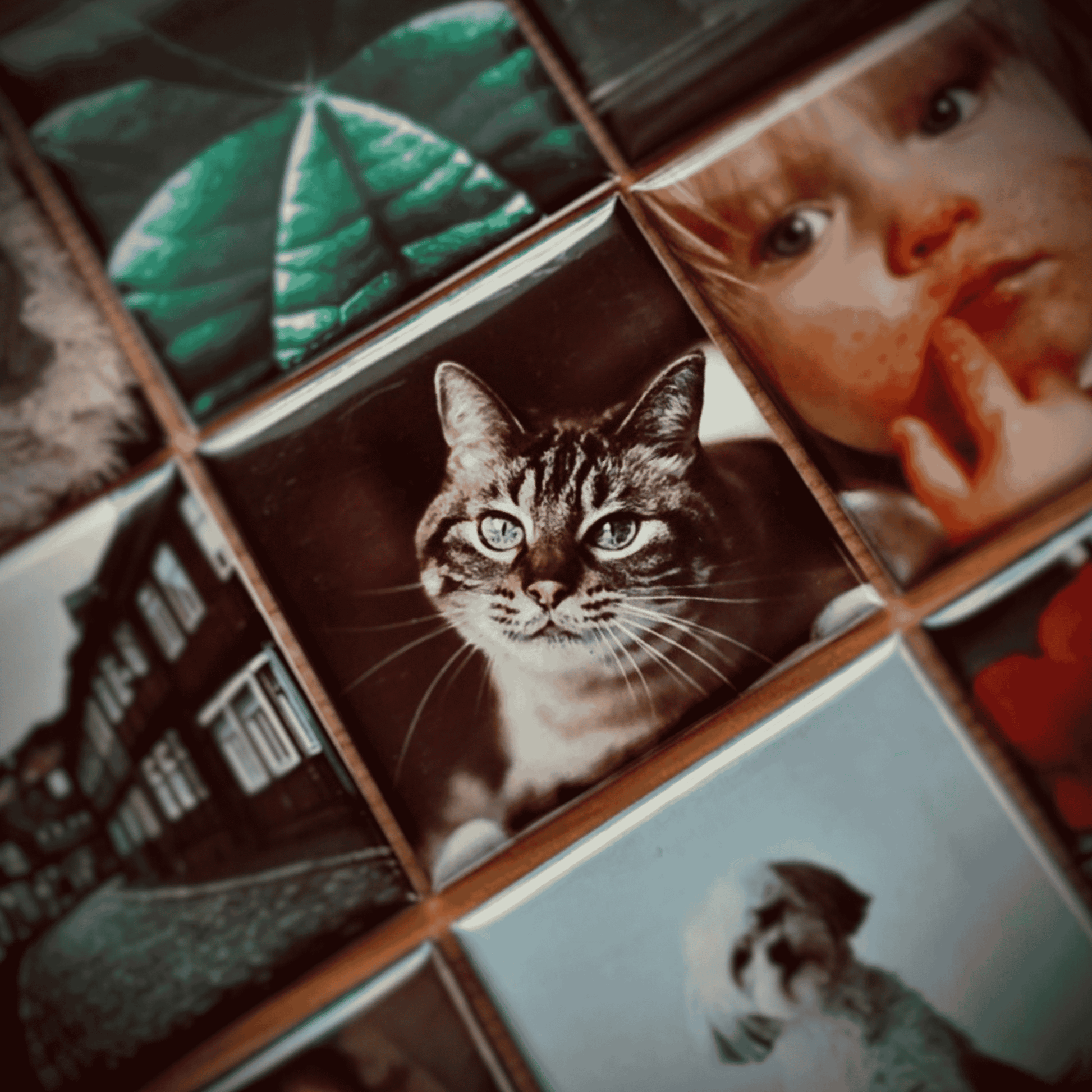 quadratisch personalisirte külschrank magnete mit verschiedenen Bildern, inklusive Katze und Kind, in hochwertiger Verarbeitung.